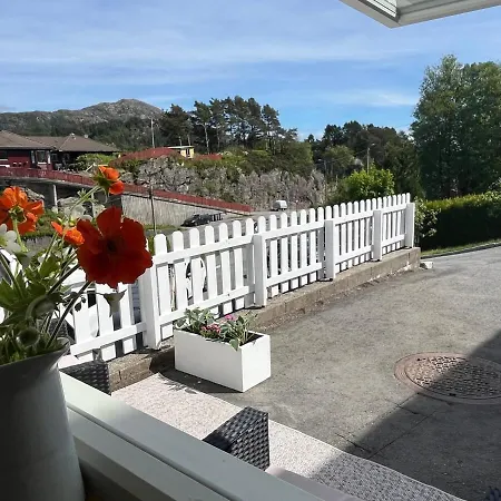Cozy Near Appartement Bergen